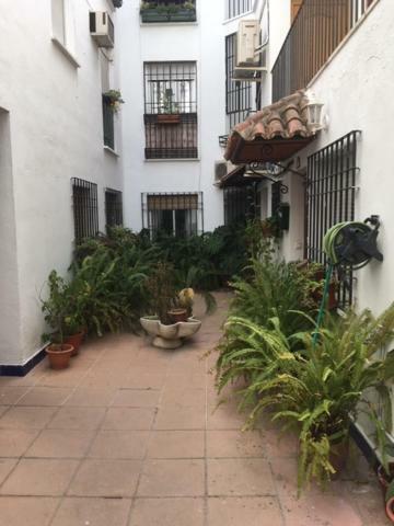 El Rincon De La Juderia Apartment Cordoba Exterior photo